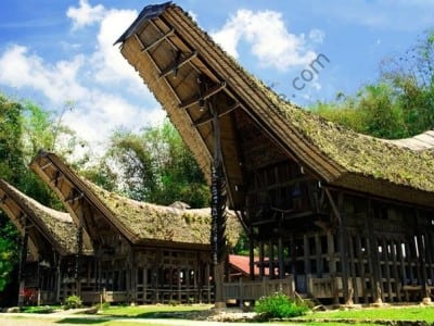 Toraja House