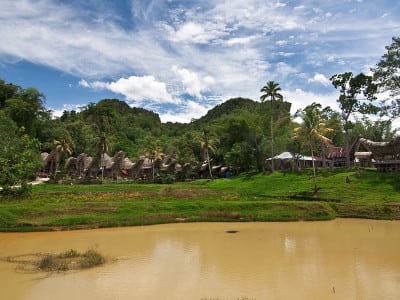 Traditional Village of Toraja Land