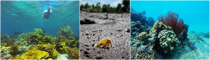 Tumbak Underwater Ecotourism