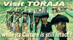 Visit Toraja Land
