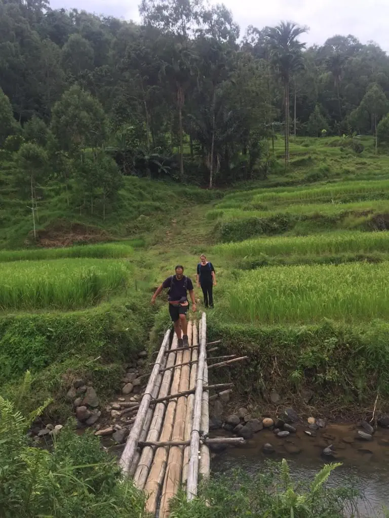 Crossing Bamboo Bridge